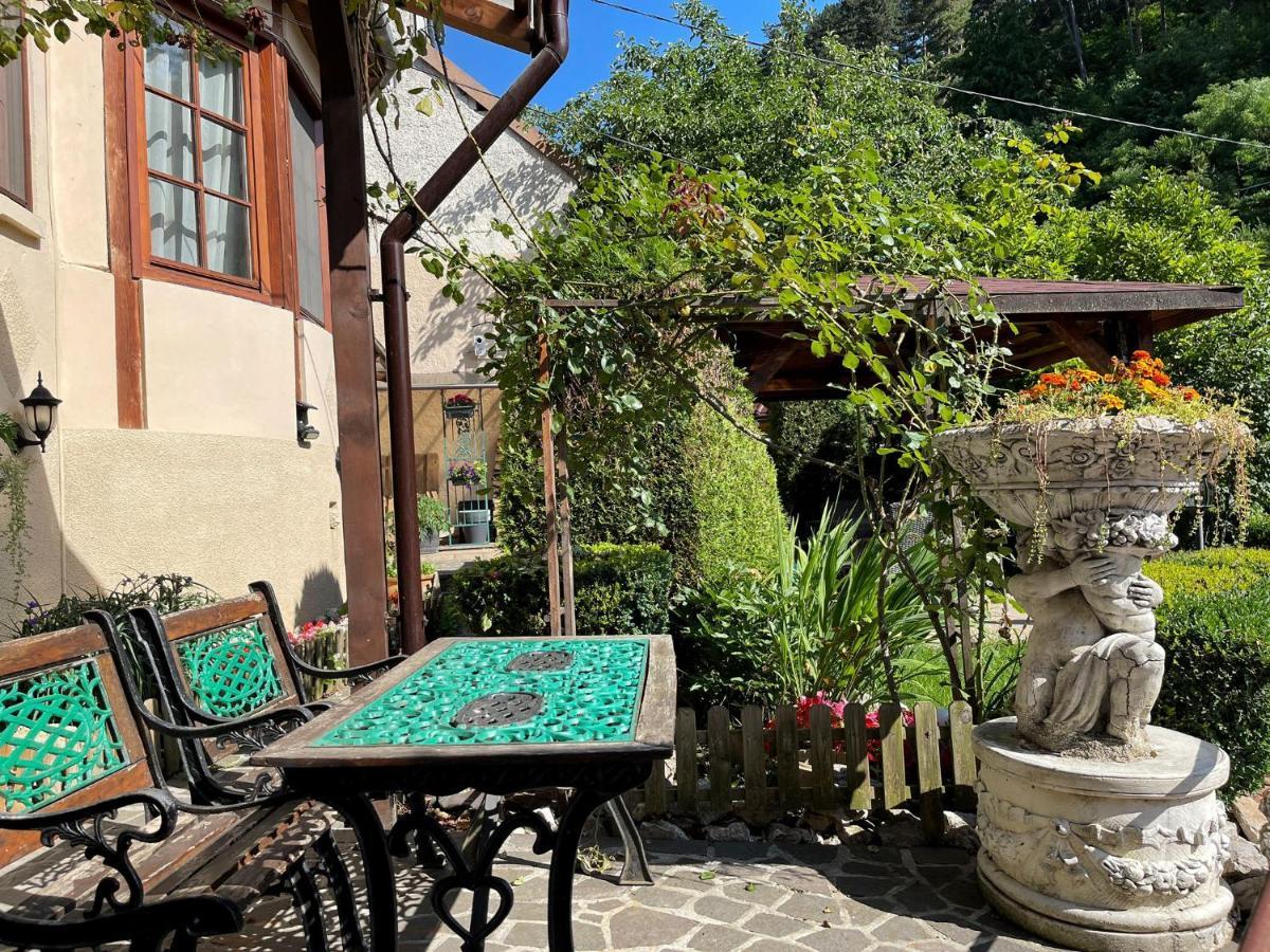 Dream House Brasov Hotel Ngoại thất bức ảnh